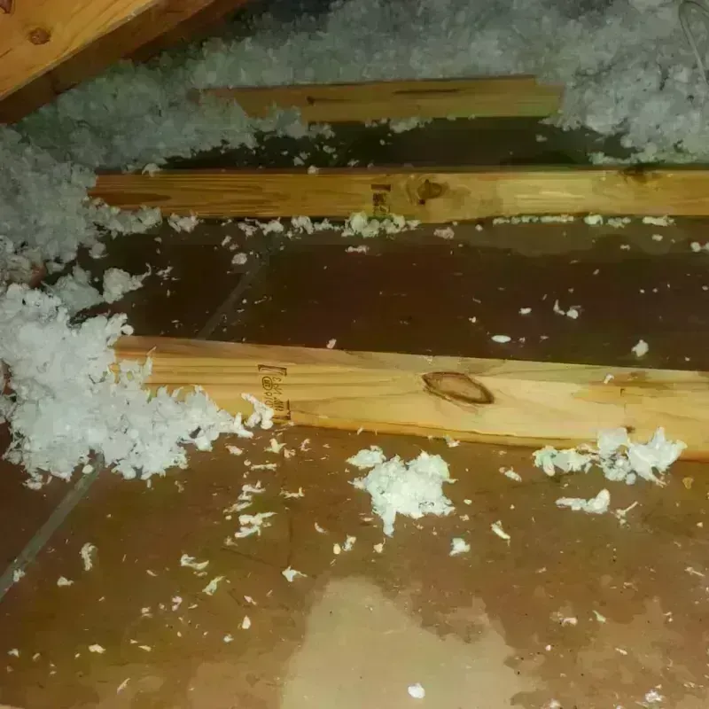 Attic Water Damage in Twin Lakes, FL