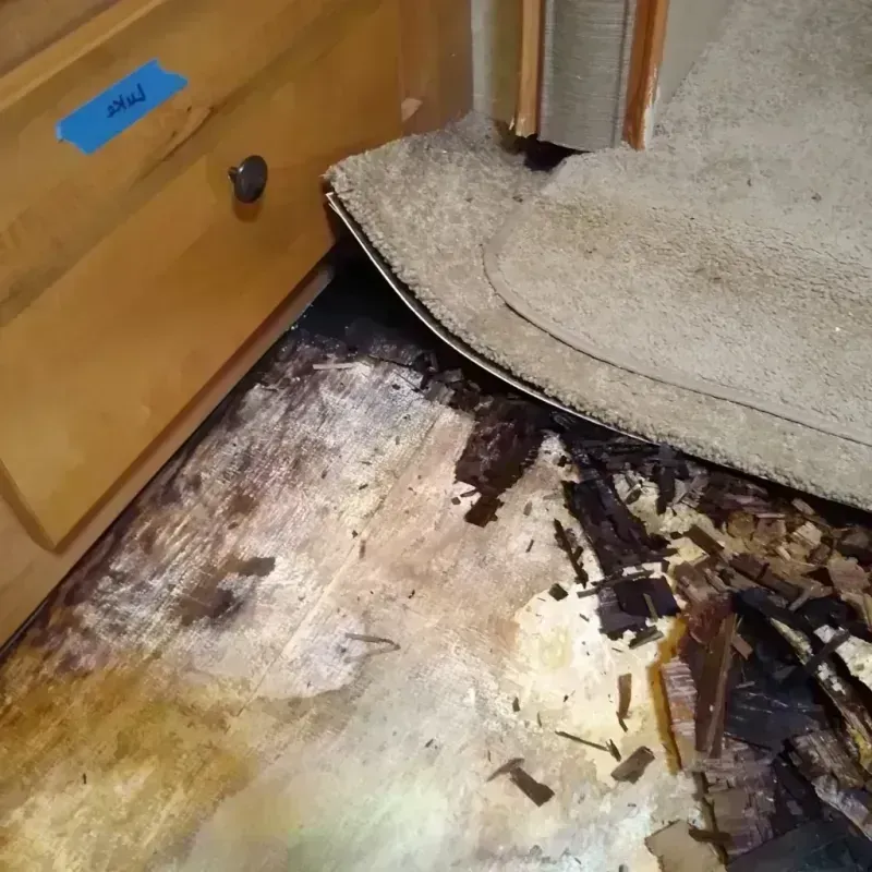 Wood Floor Water Damage in Twin Lakes, FL